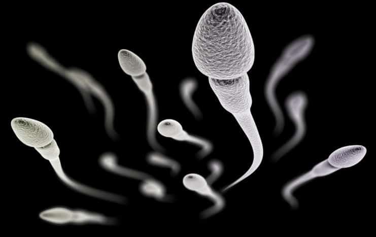 spermas kvalitāti