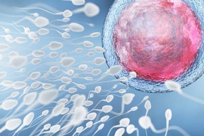 Spermas analīze ir vīriešu auglības tests