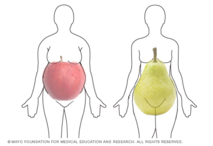 ābolu un bumbieru ķermeņa forma