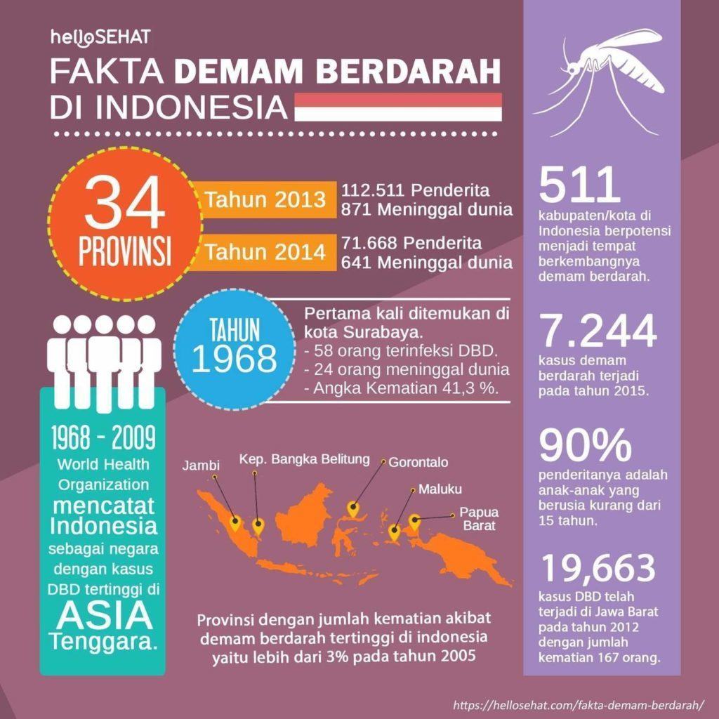 dengue drudzis hellosehat Indonēzijā