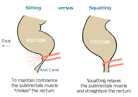 sēž vs squatting