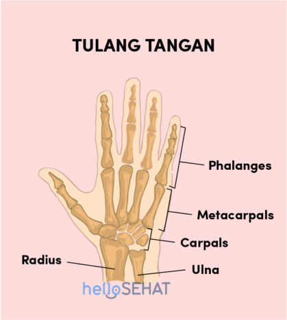 roku kaula rokas attēls